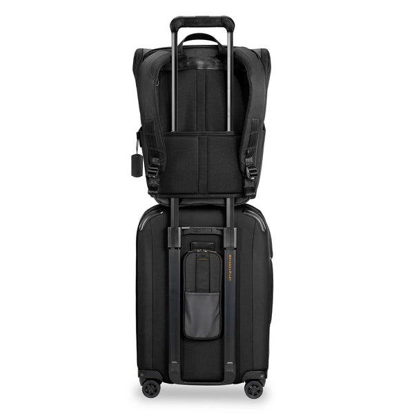 International 21" Carry-on Expandable Spinner